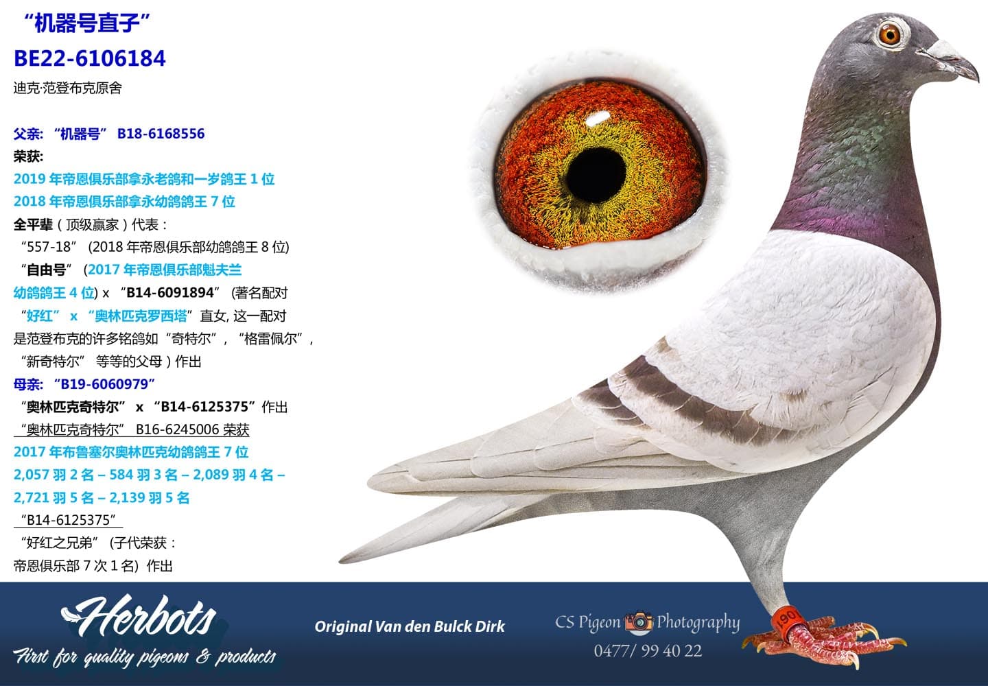 pigeon: undefined