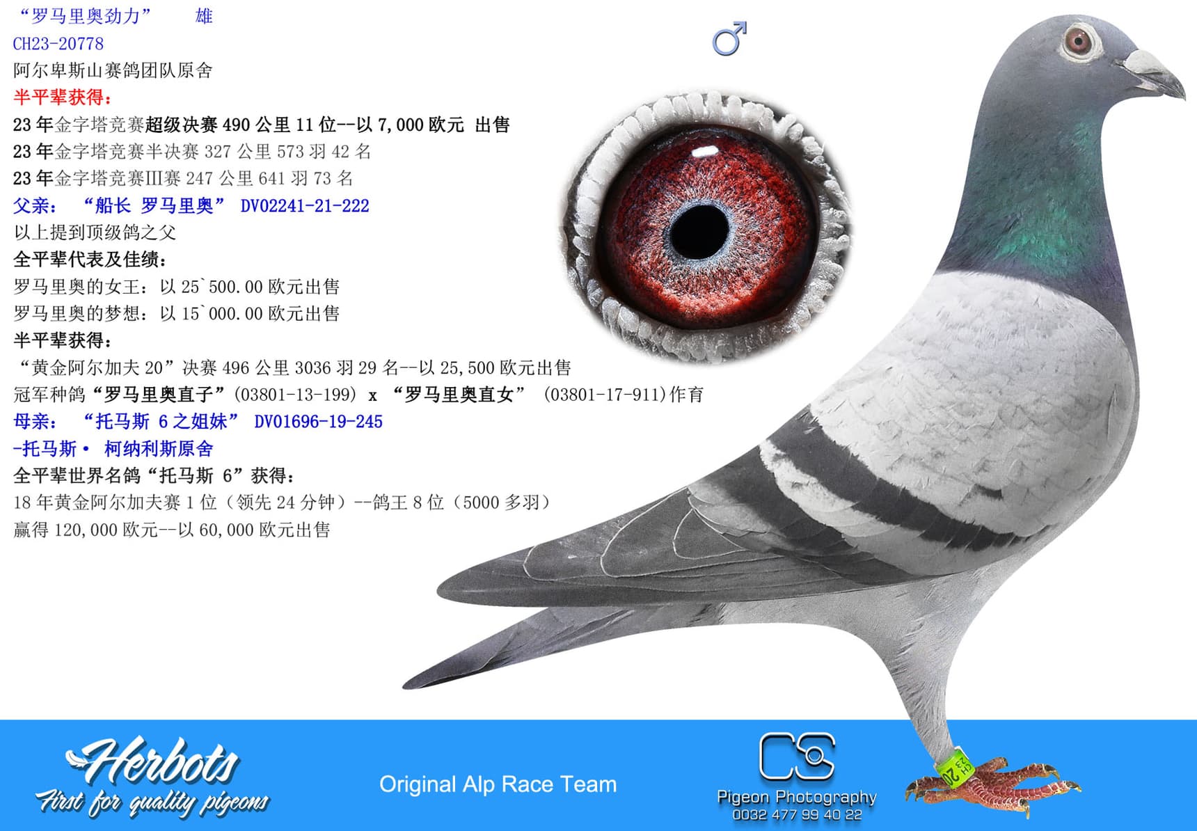 pigeon: “罗马里奥劲力”