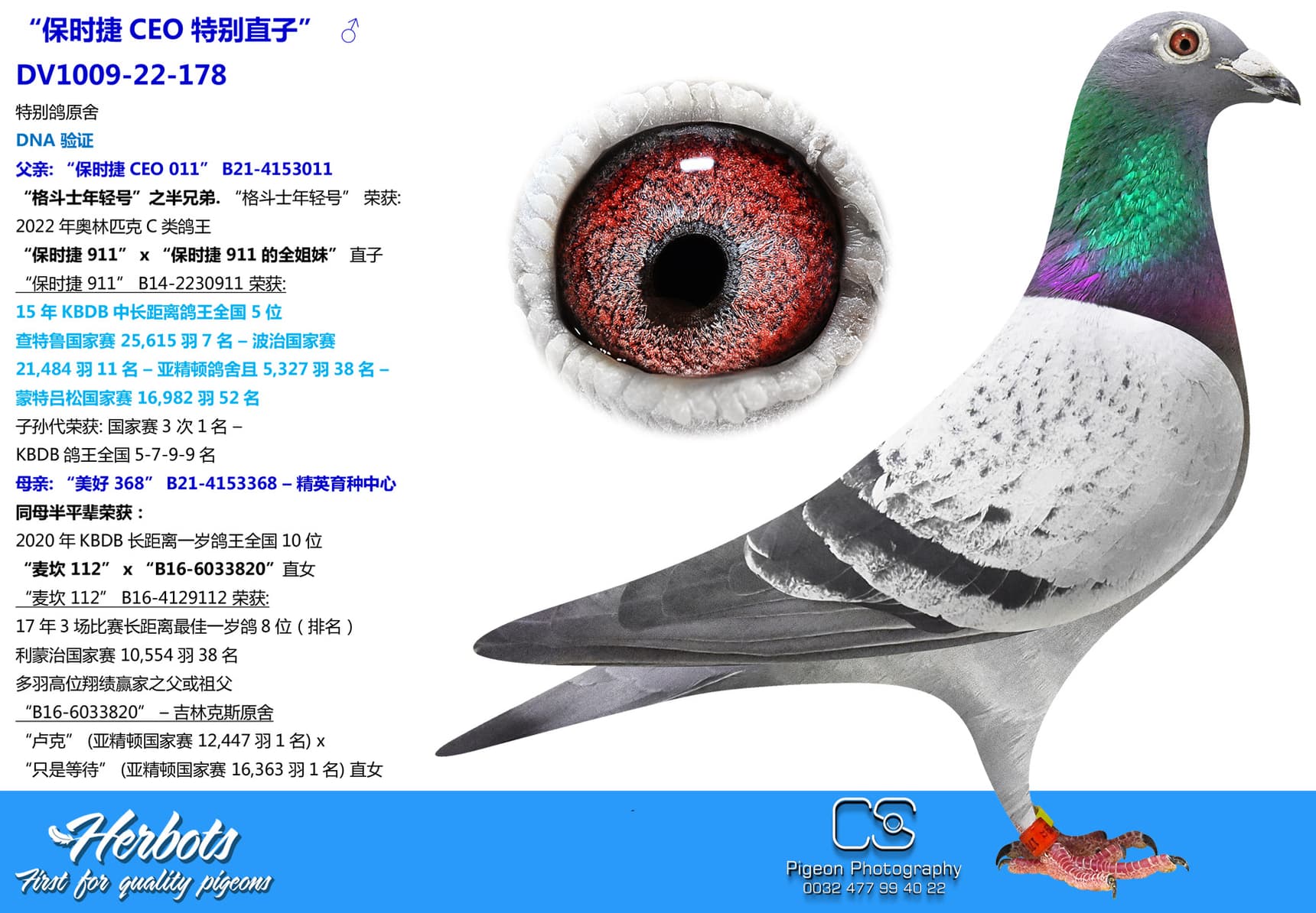 pigeon: “保时捷CEO特别直子”