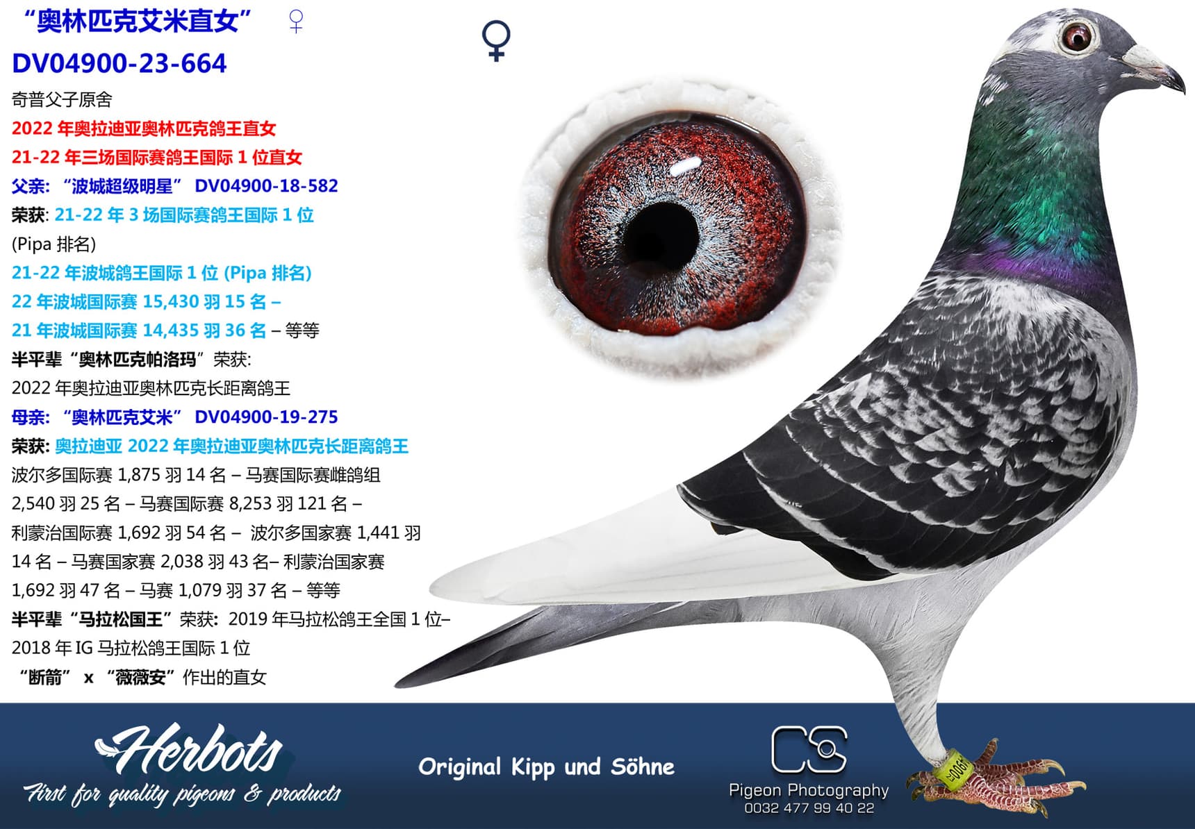 pigeon: “奥林匹克艾米直女”