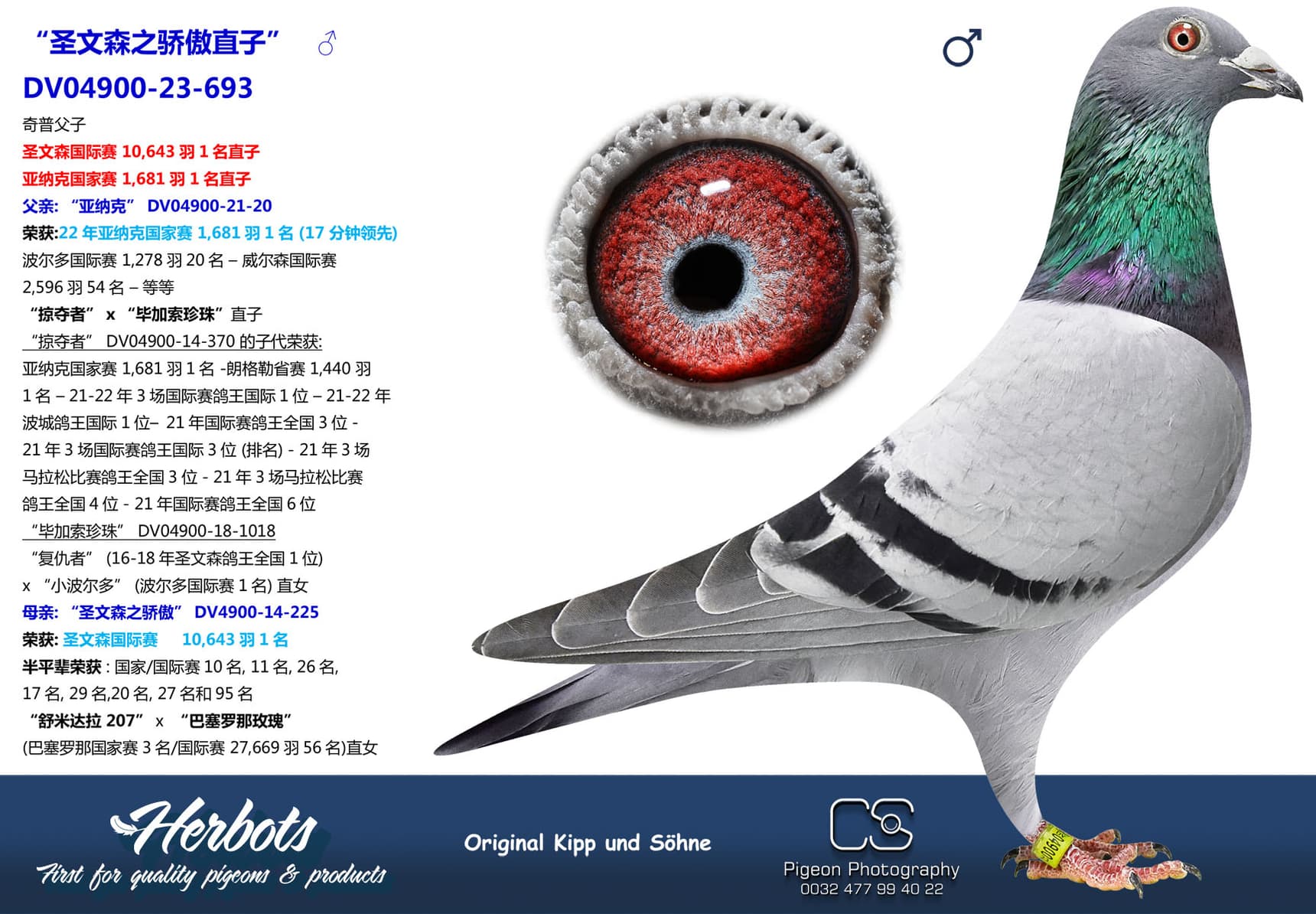 pigeon: undefined
