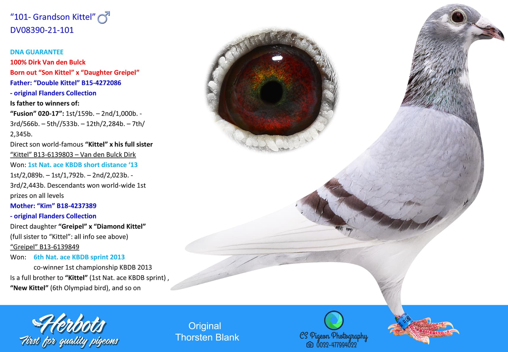 pigeon: “101- Grandson Kittel”