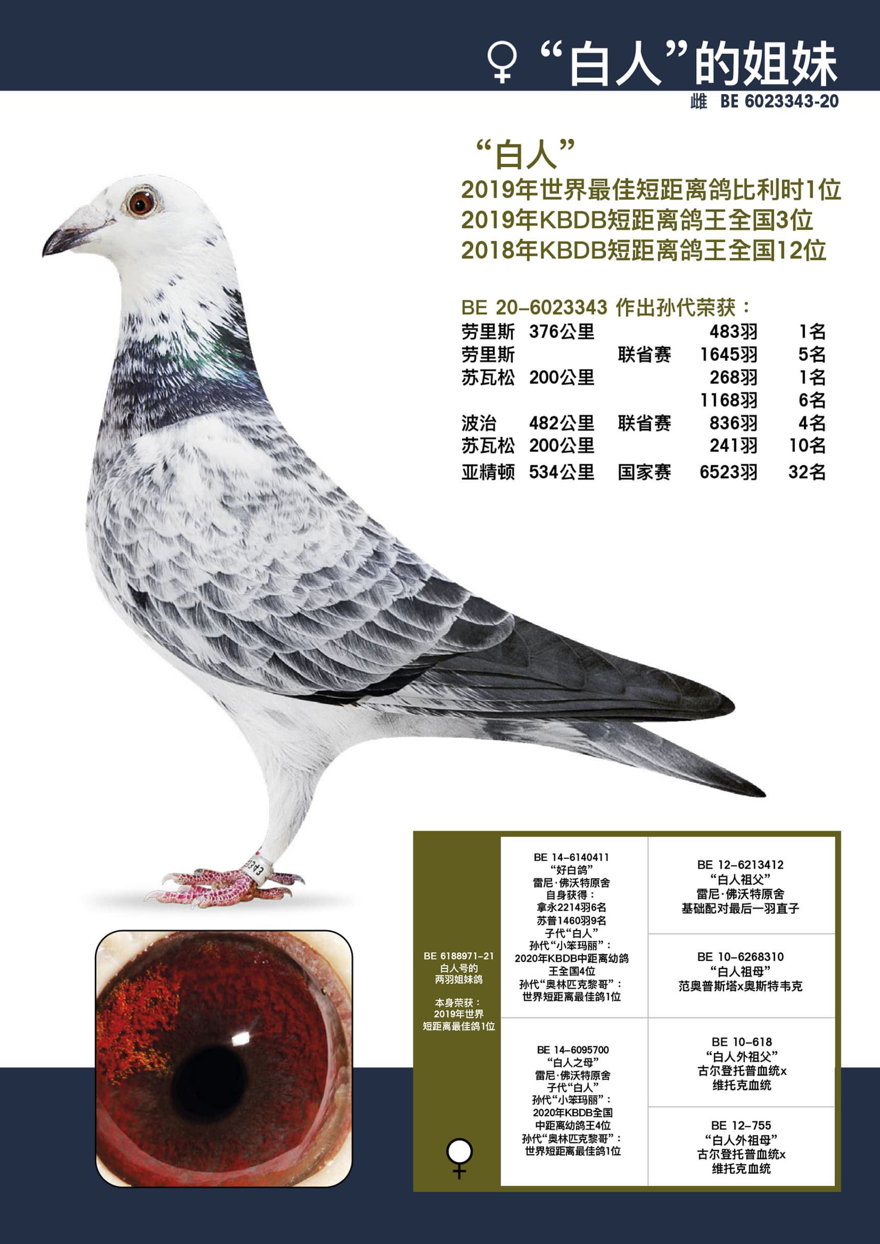 343-白男人姐妹