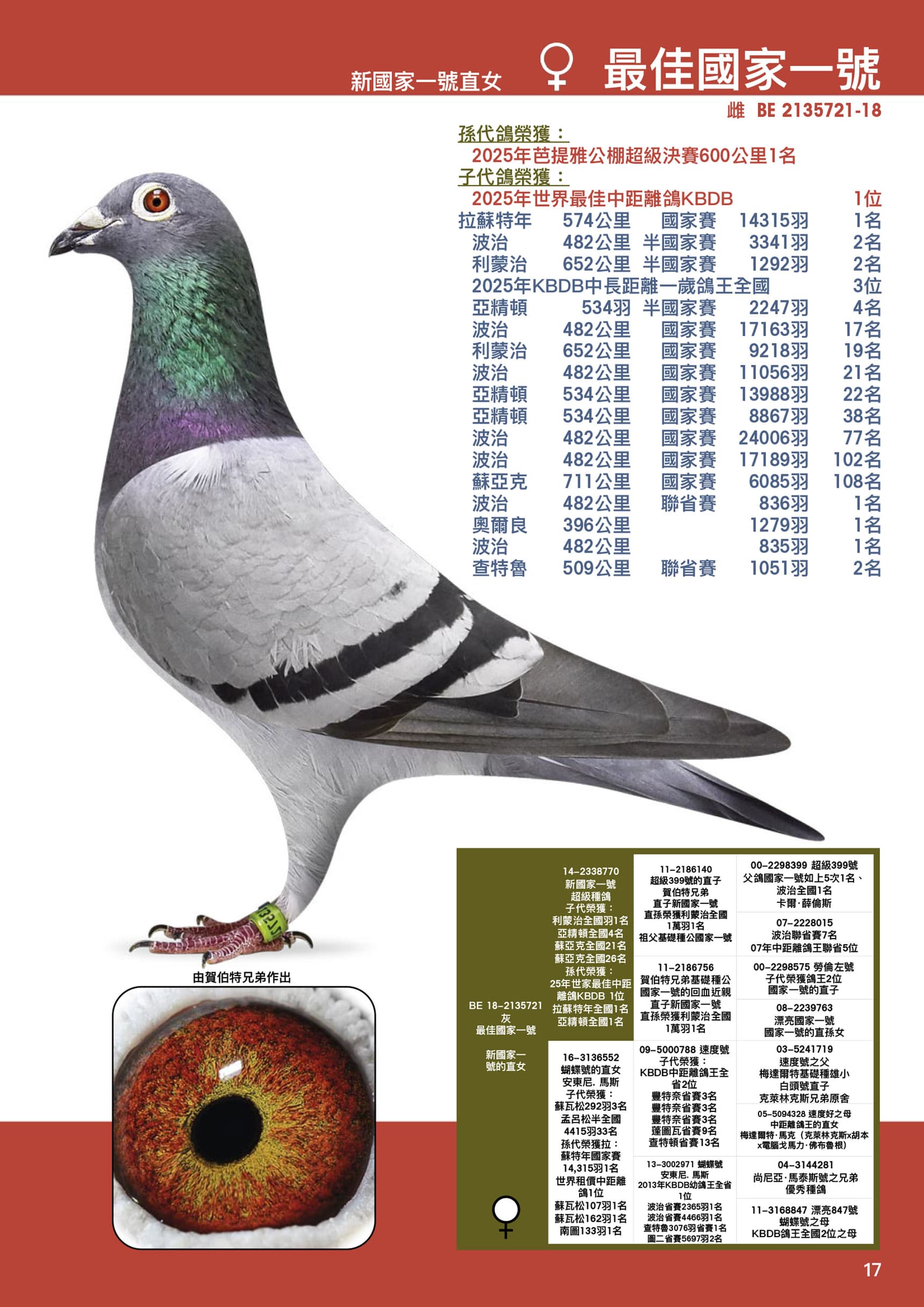 最佳国家一号