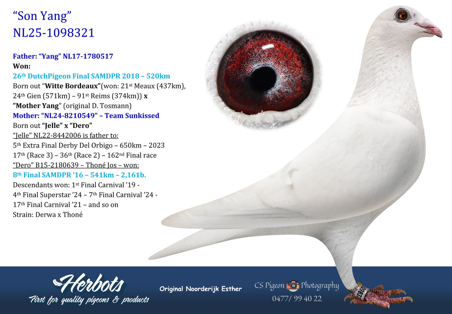 pigeon: undefined