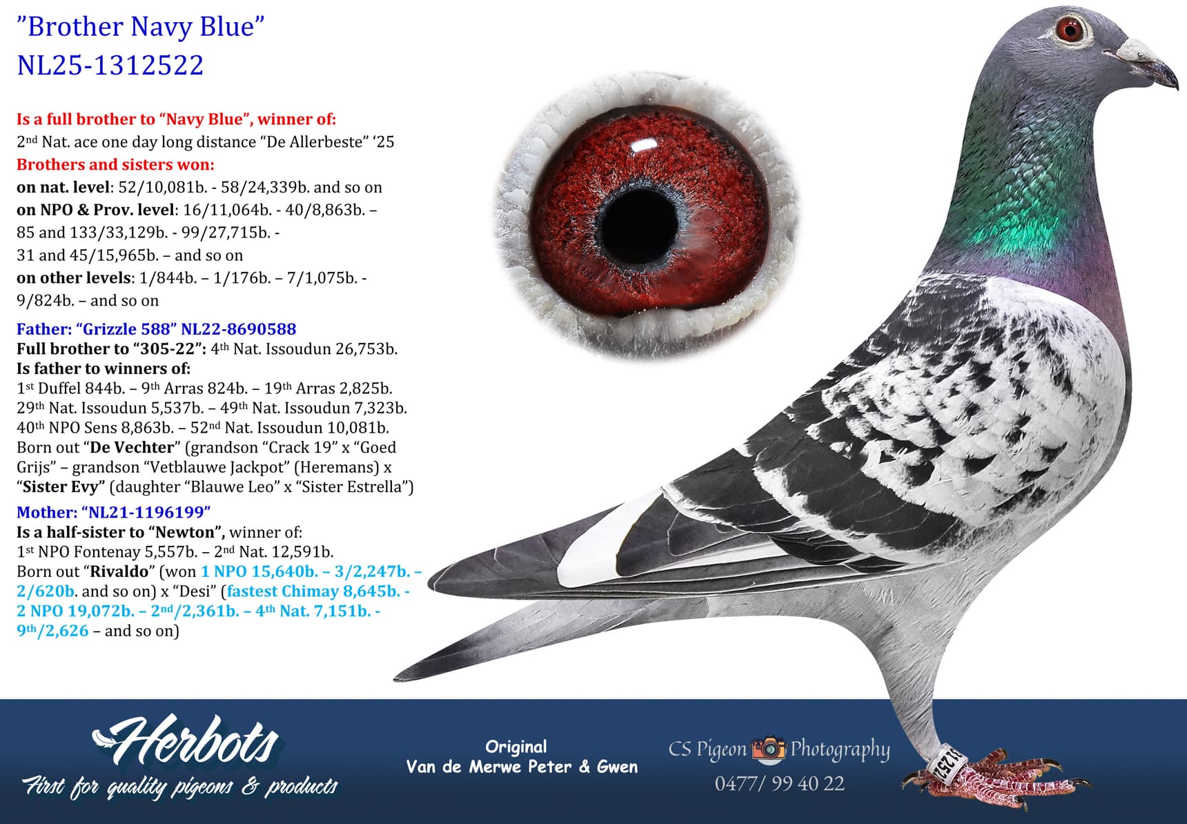 pigeon: undefined