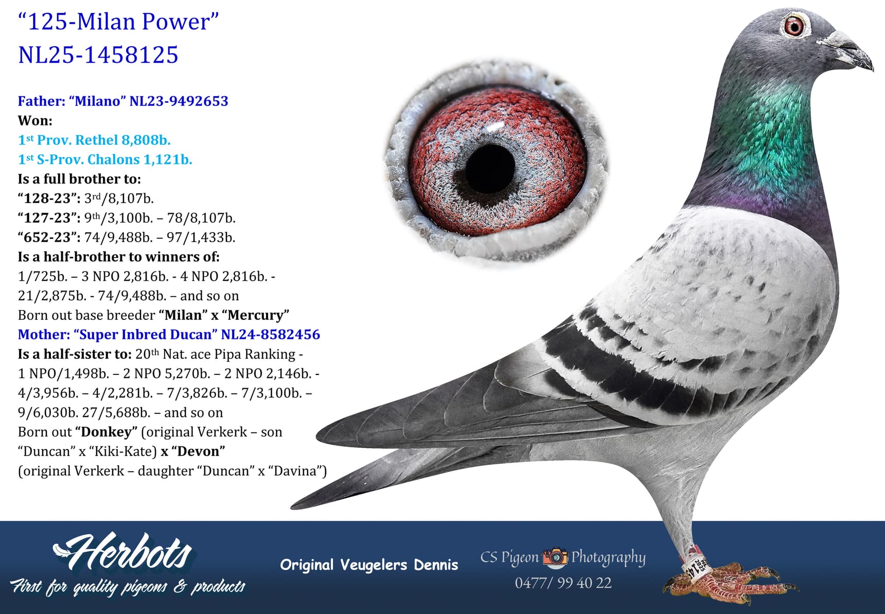 pigeon: undefined