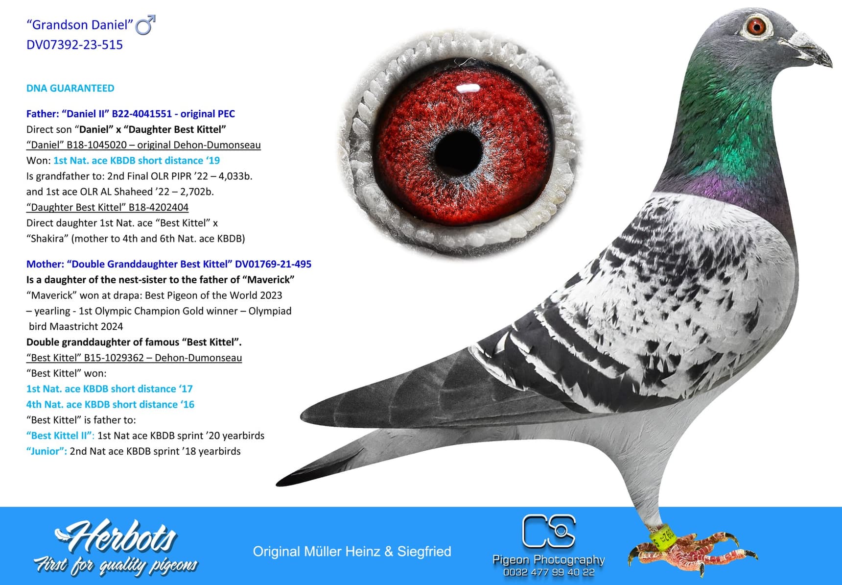 pigeon: “Grandson Daniel”