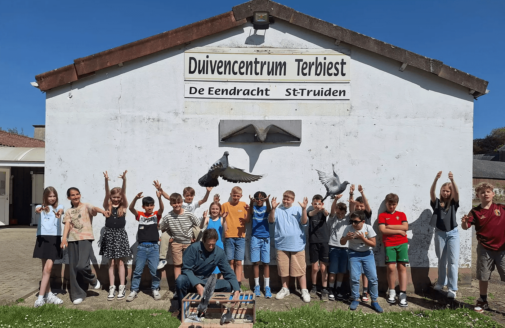 Duivenmarkt - Duivencentrum Terbiest Sint-Truiden