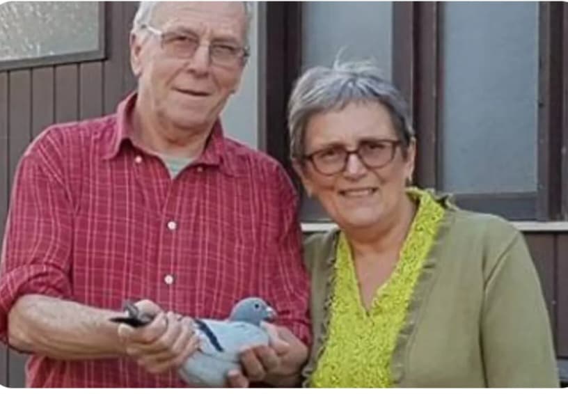 Jean-Claude  FONTAINE 