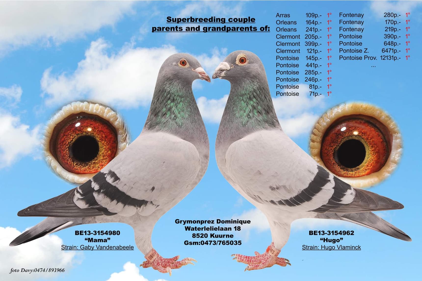 Dominique Grymonprez