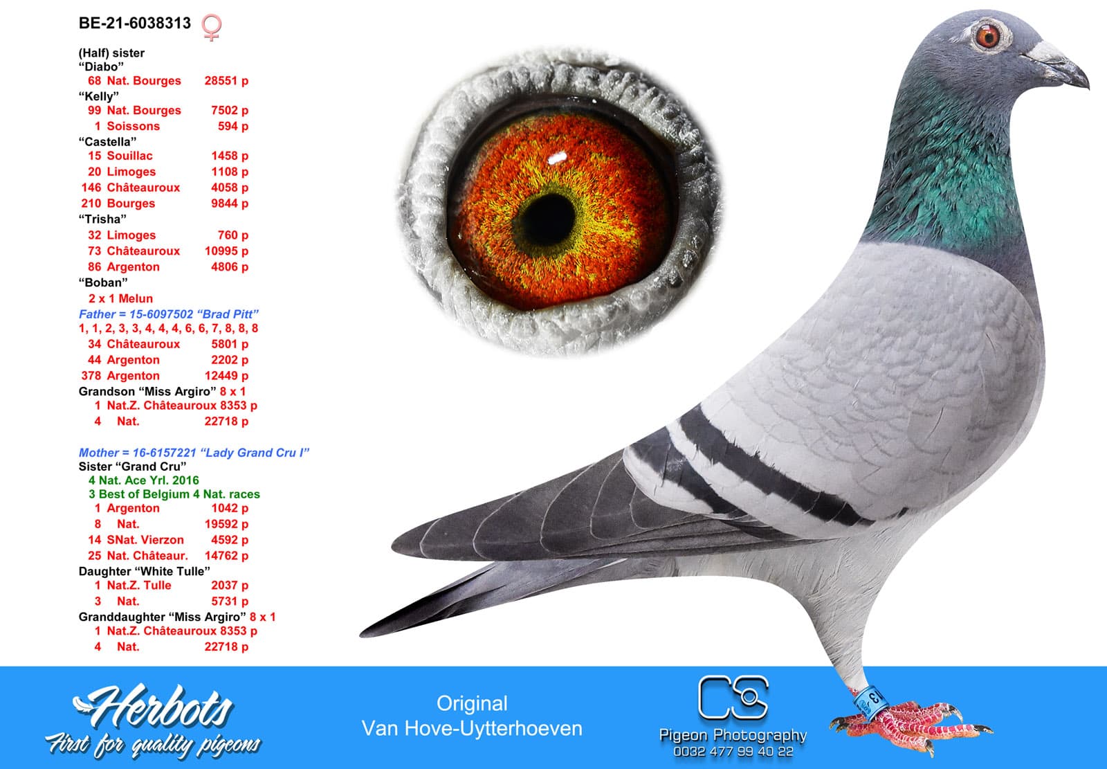 pigeon: undefined