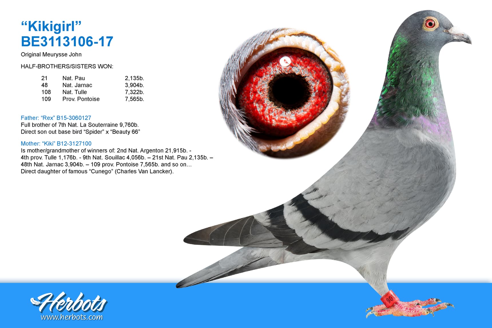 pigeon: undefined