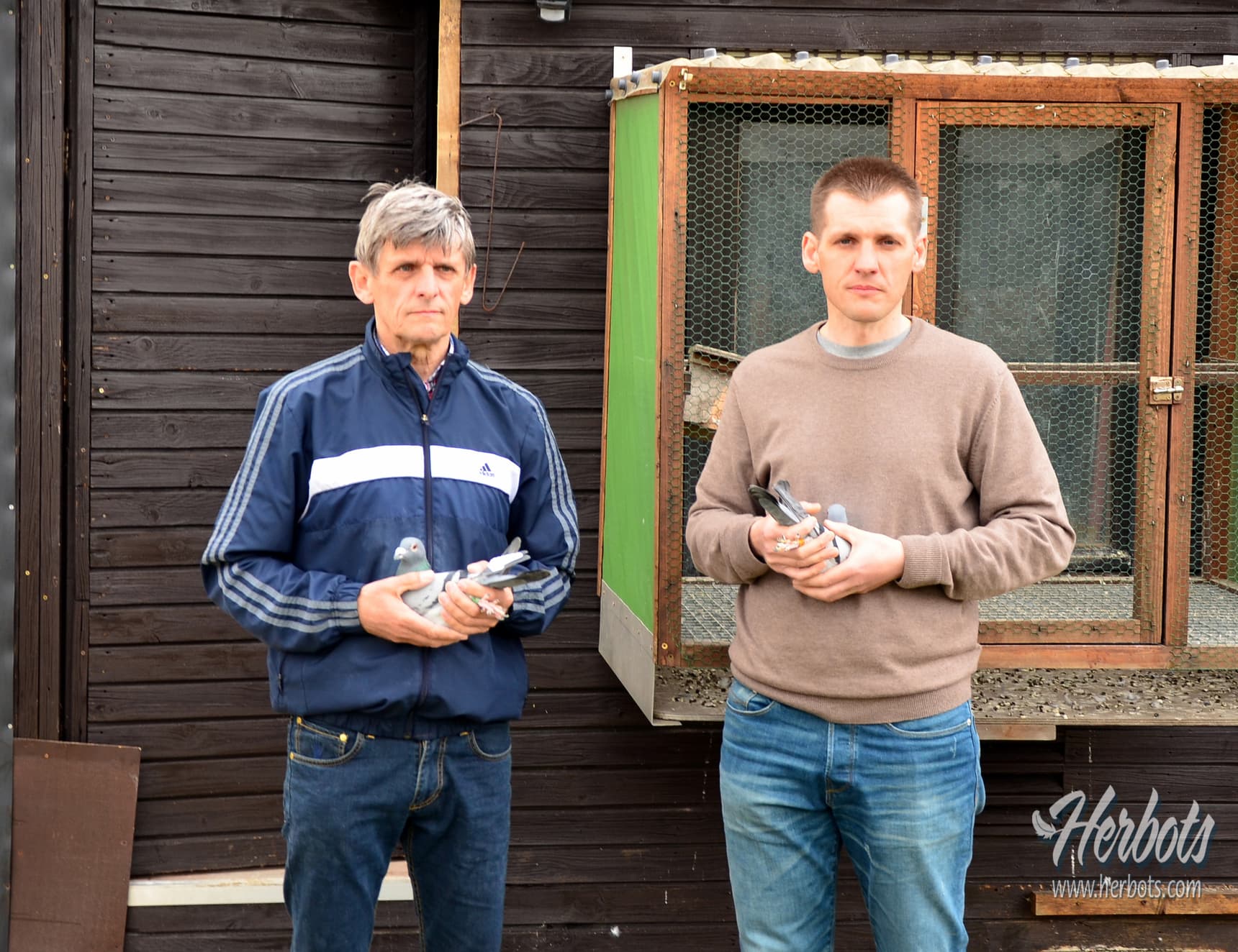 Thijs Nick & Roger uit Hallaar - 1ste Nationale Asduif zware halve fond jaarse KBDB 2022 en 1ste Nationale Asduif All Round jonge KBDB 2022