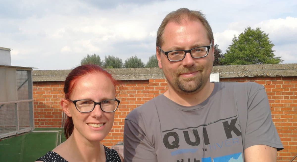 Pigeon Bids Van Den Abbeel - Van Paesschen Part 2