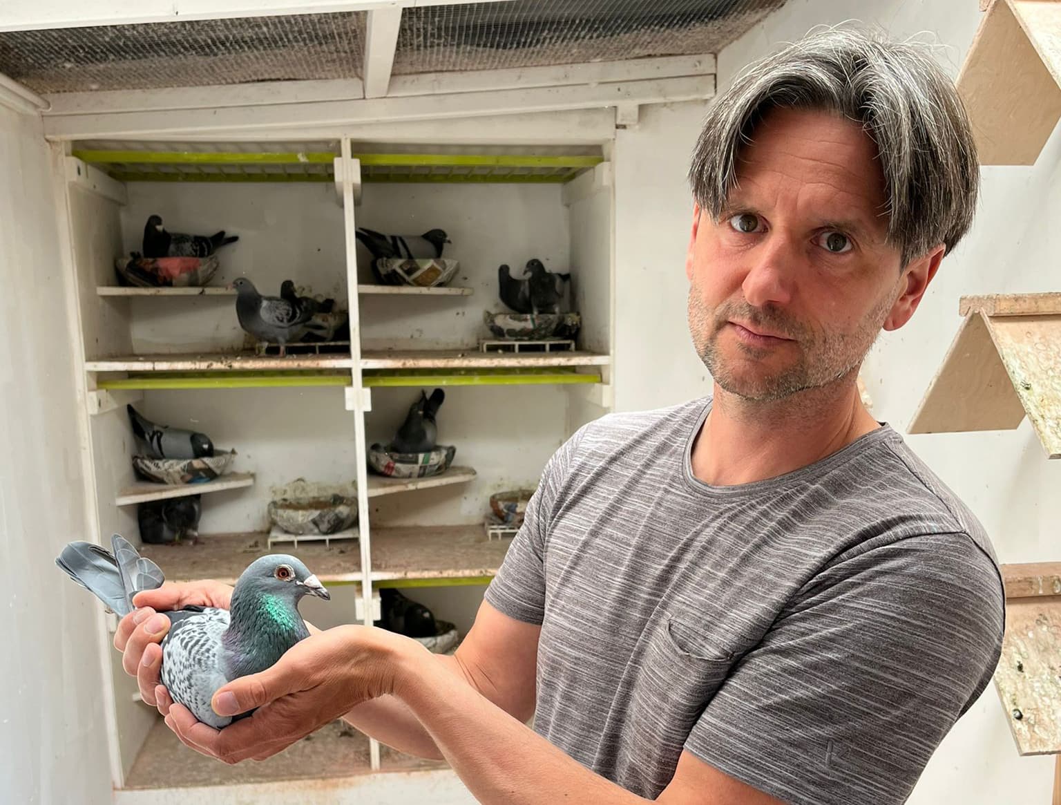 Comb. Ebben marque sur Niergnies : 1-3-14-21-59 etc. contre 6.770 pigeons (17/15) et devient 1er Général de la Division 8/GOU (1.682 membres).