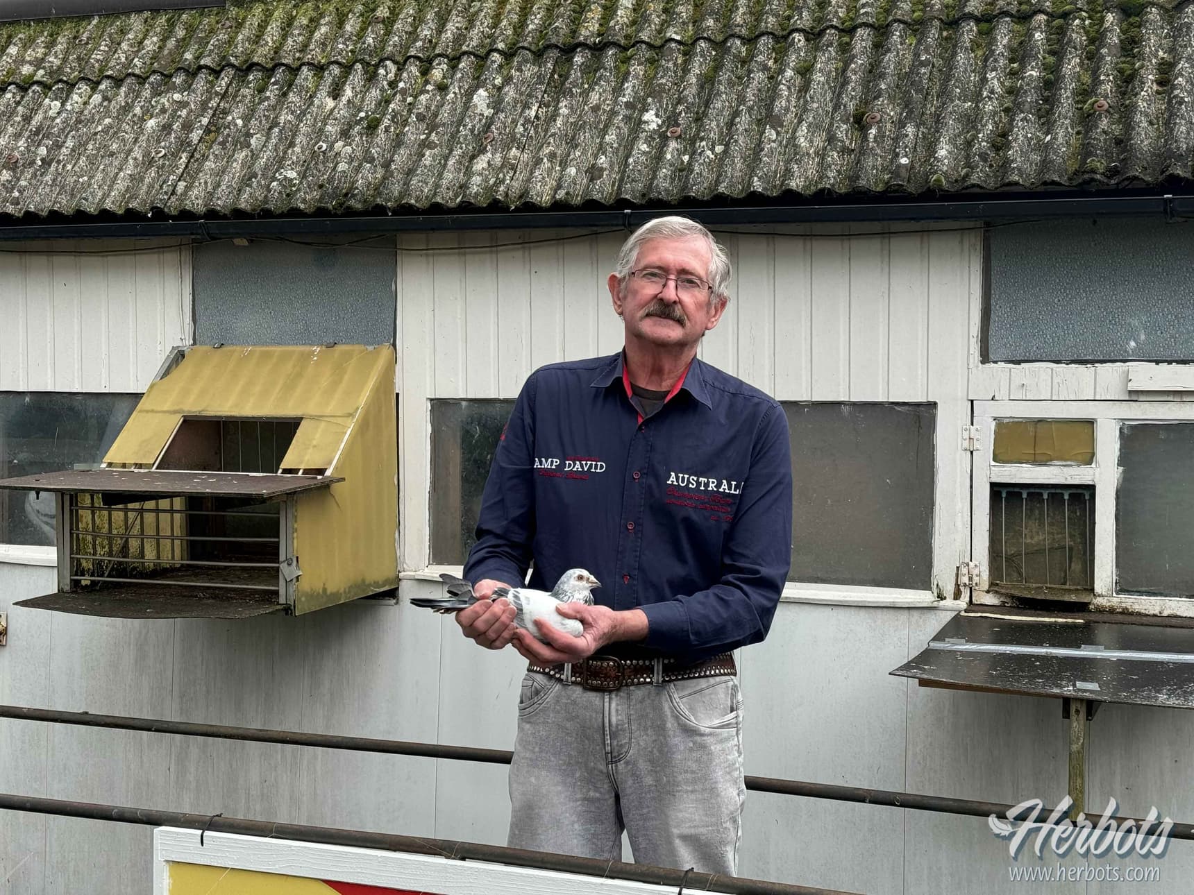Jos Adami from Meerhout wins 1st National Ace Pigeon sprint yearlings KBDB 2023