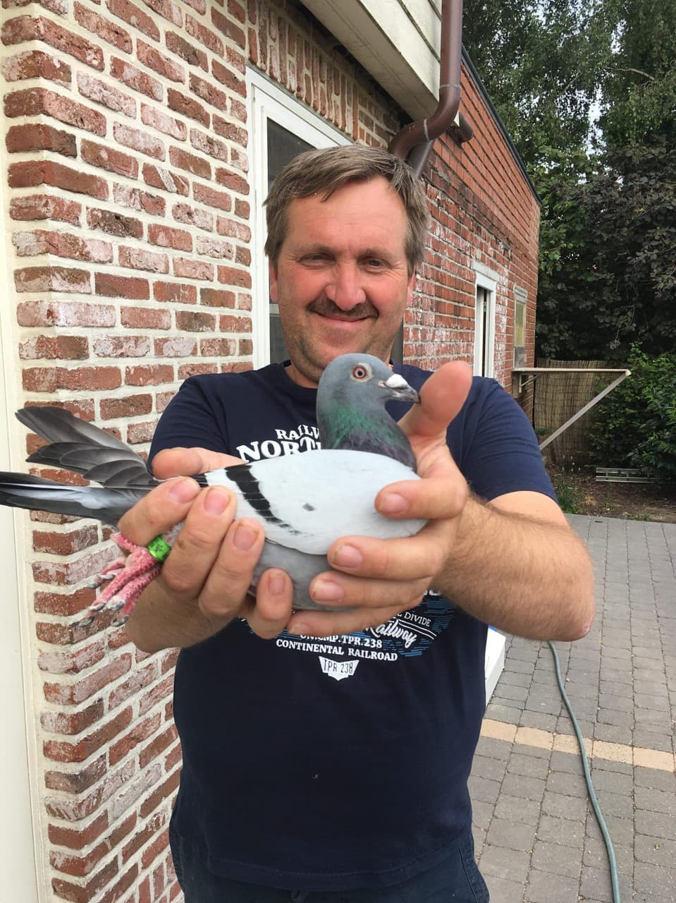 Jo Bauters – Gavere Strong work...amongst others thanks to the breeding line of topper "Fabian".