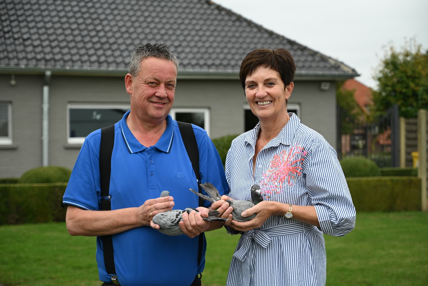 Les pigeons « All-round » de Broeckx Niels (Oud-Turnhout) continuent de se donner à fond.