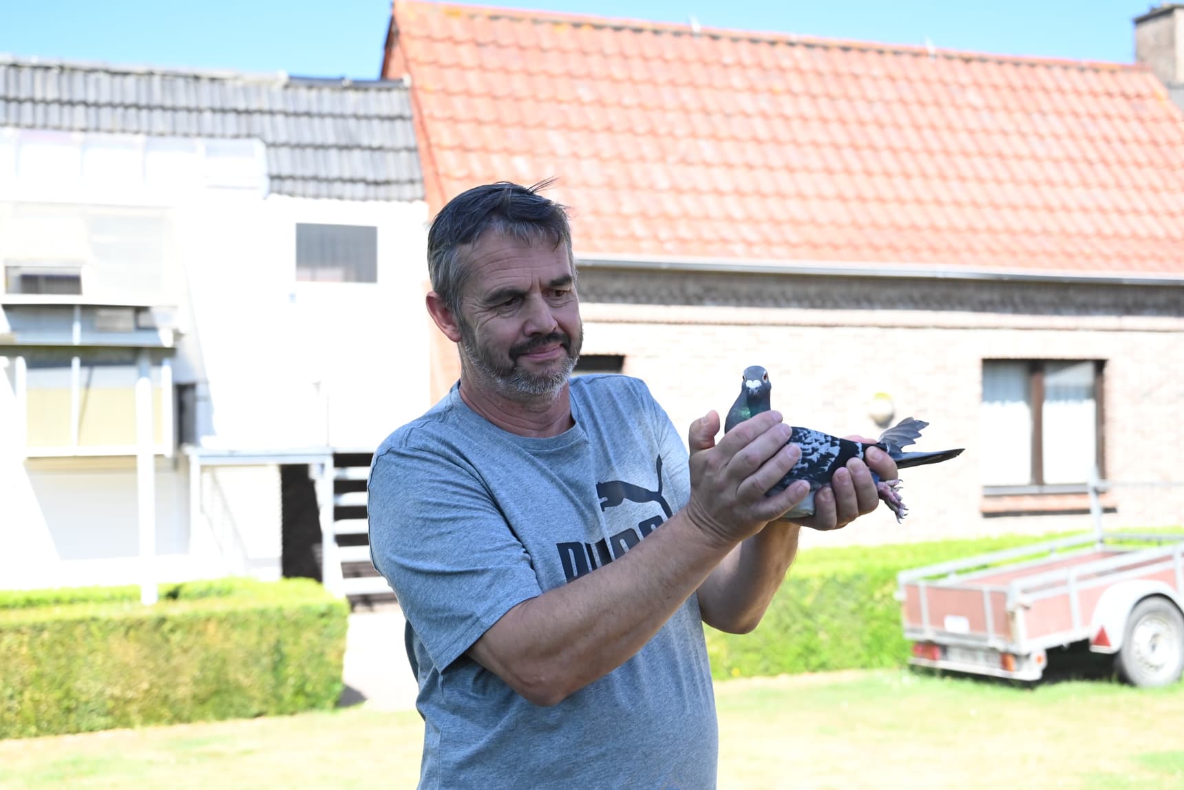 Eddy De Martelaere (Gavere) 1st National ace KBDB 2022 short distance old