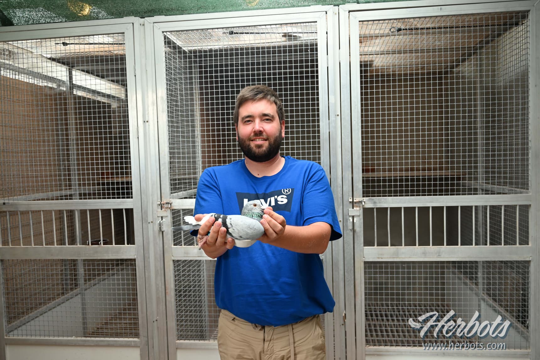 Flanders Collection (Liedekerke) Mega resultaten gebaseerd op een sterke kweekstam