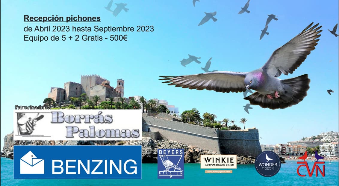 "Final Derby Europastar Pigeon 2022/2023"