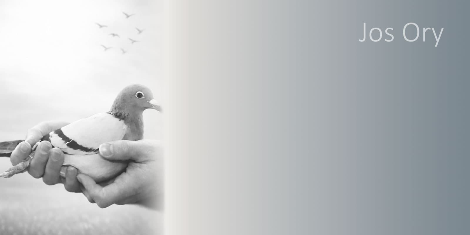 Wij vernamen het overlijden van Jos Ory