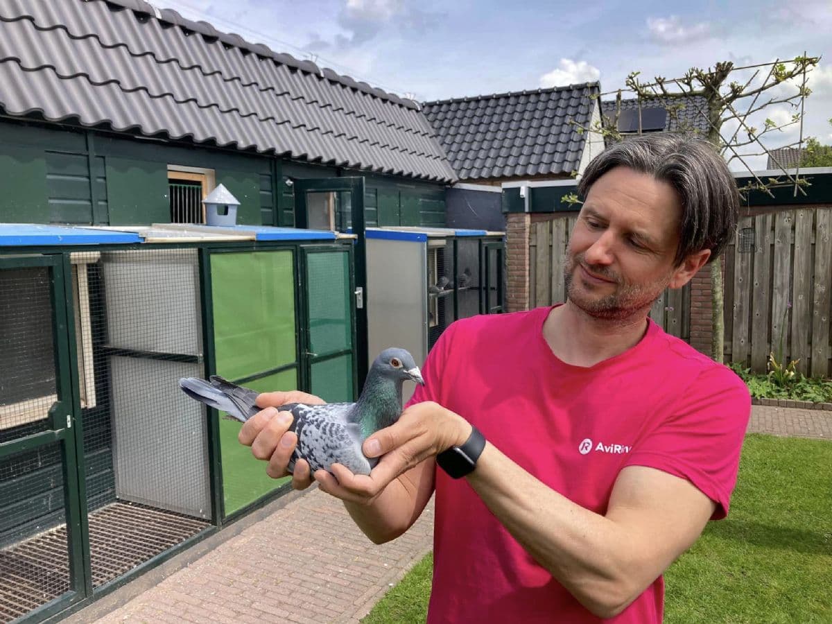 Will & Falco Ebben win with topper "Pandemic" 1st Quievrain 4,729 pigeons