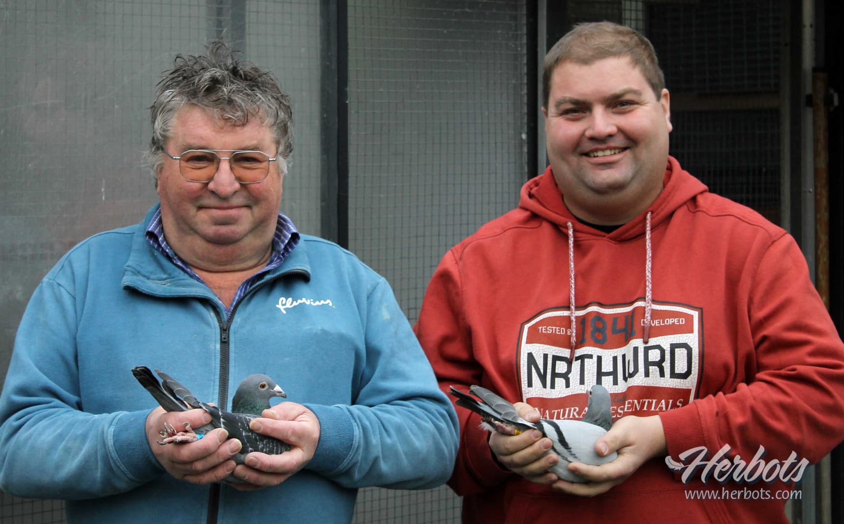 Geert Maroy (Heestert) 1st National ace Marathon yearlings