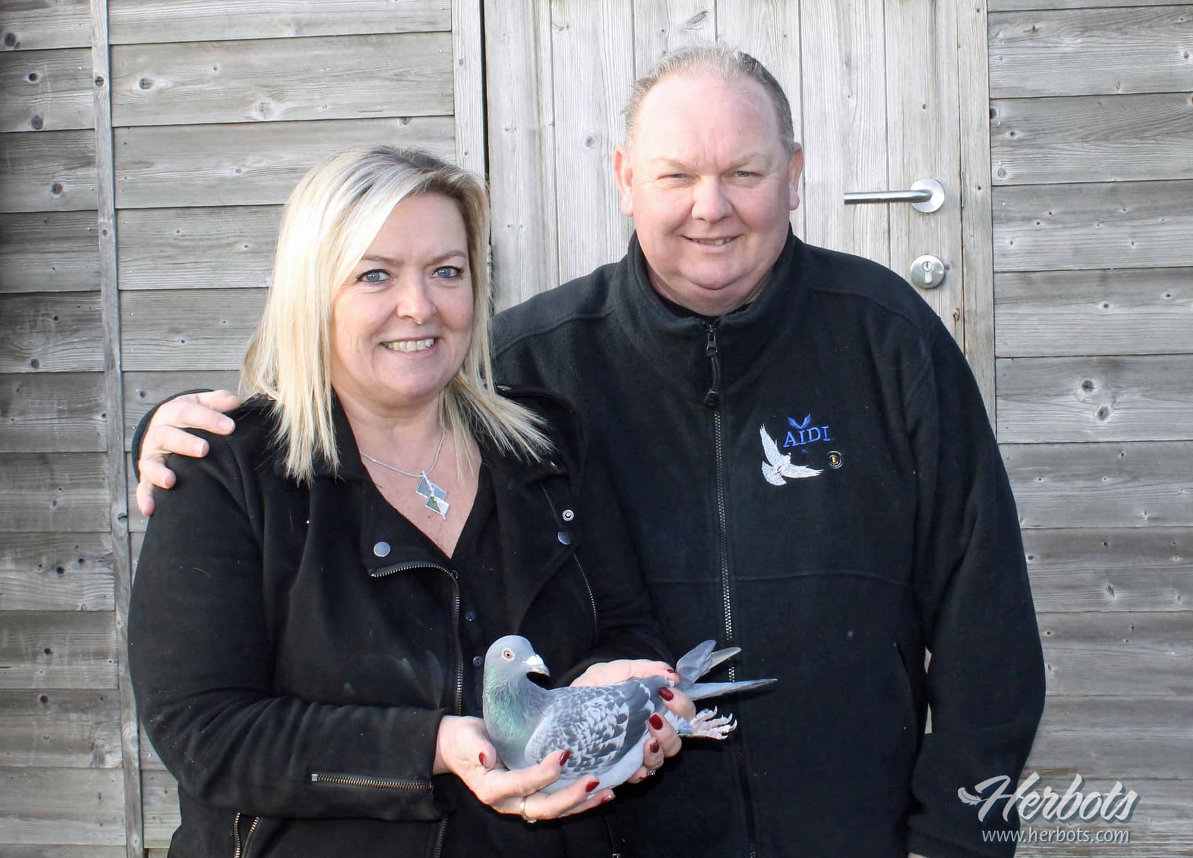 Annick Goeteyn (Deinze) has a strong strain of pigeons with strong results and nice references !
