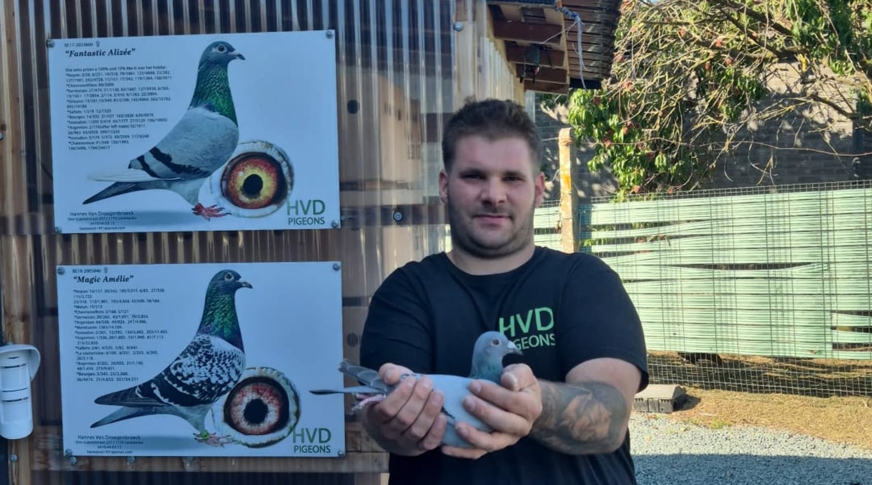 Hannes Vandroogenbroeck – 2e Orleans (358 km) tegen 798 duiven & 7e Provinciaal tegen 10.286 duiven