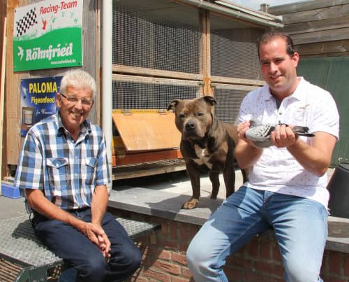 Hendriks Jo & Florian (Nijswiller) Een gouden kweekhok met "Harry" en "Kleine Gerard" als basis