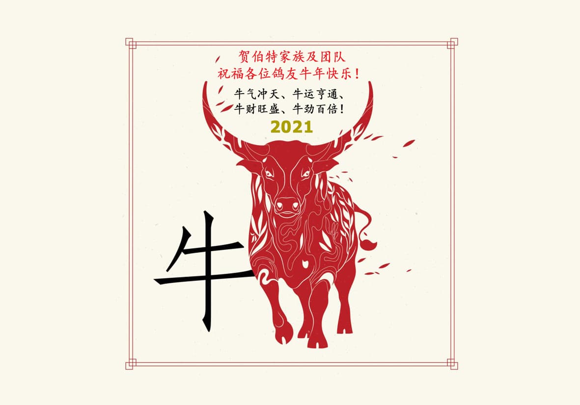 Happy Chinese New Year of the Ox