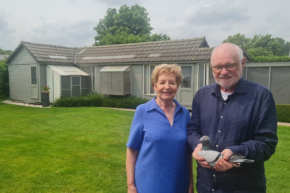 Deschepper – De Temmerman (Merelbeke) provinciale winnaar Limoges oude duiven