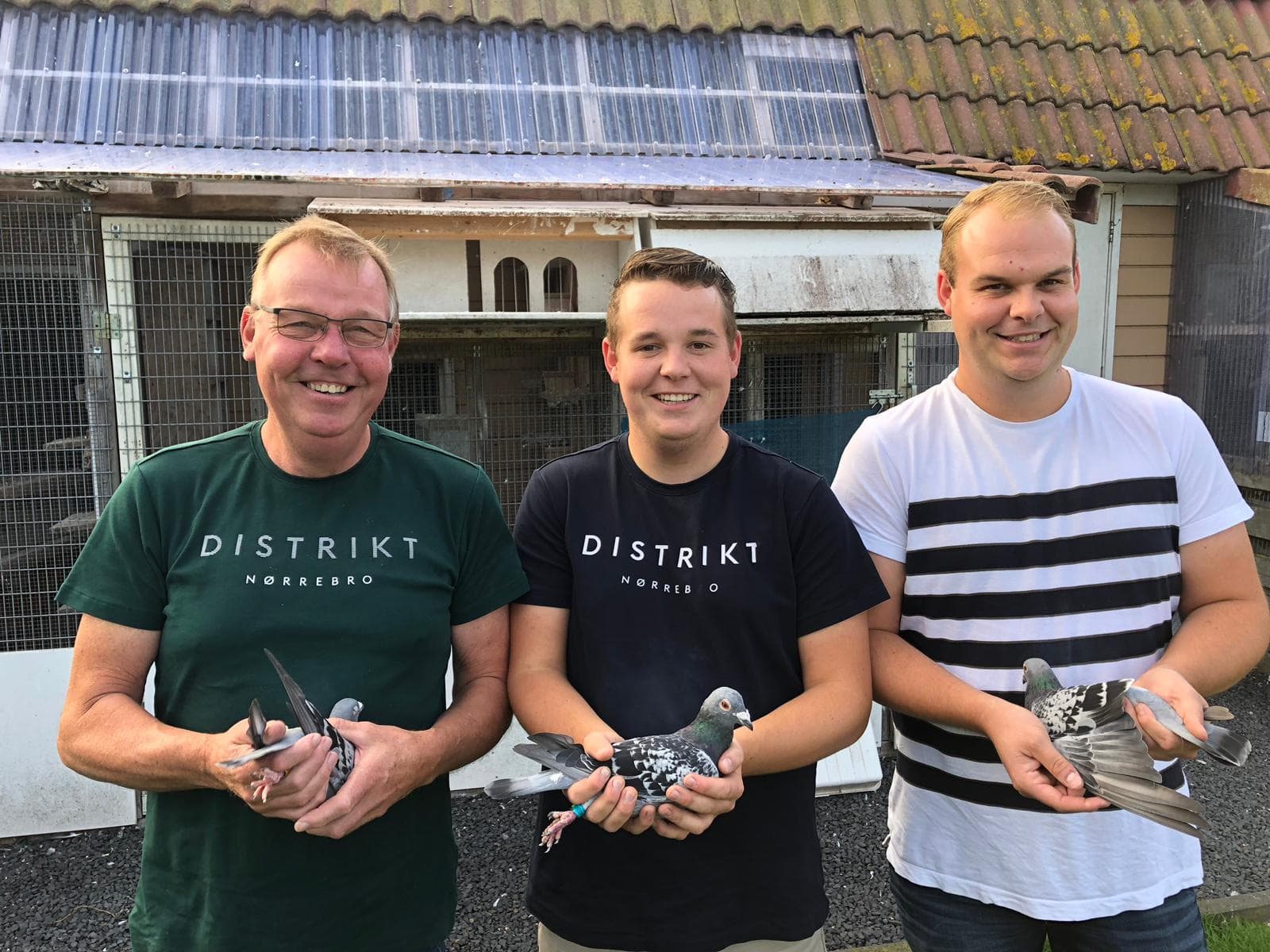 Combination Hommes & Sons: A decade of dominance in marathon pigeon racing