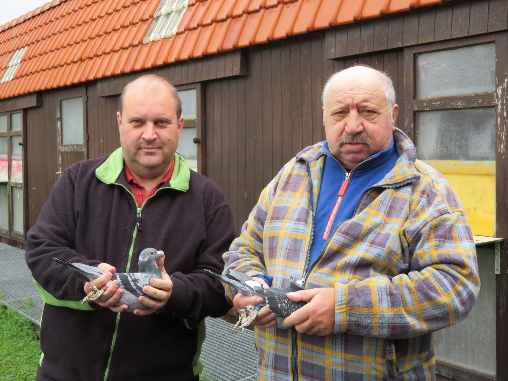 Pollin Marc and Geert (Snellegem) 1st National Champion KBDB long-distance yearling 2022 2nd National Champion KBDB middle distance old 2022