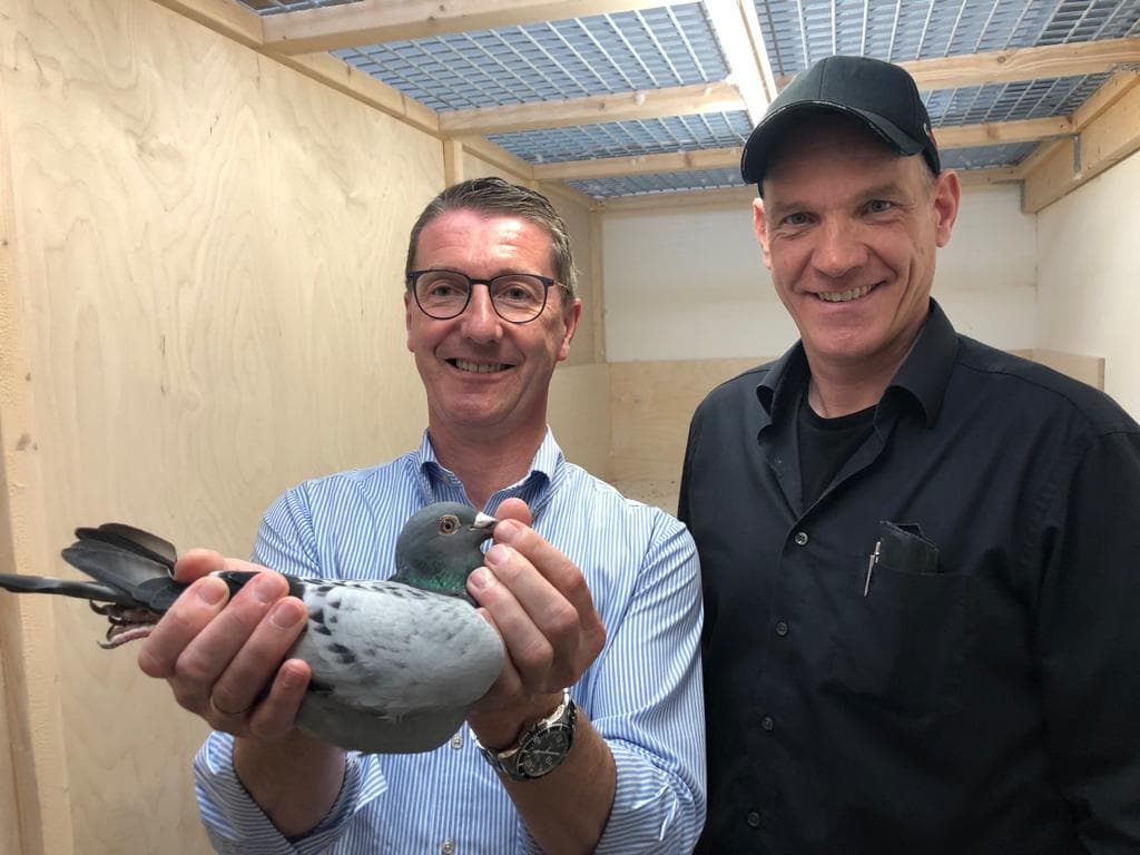 杨·胡曼斯的“哈利家族”横扫全球