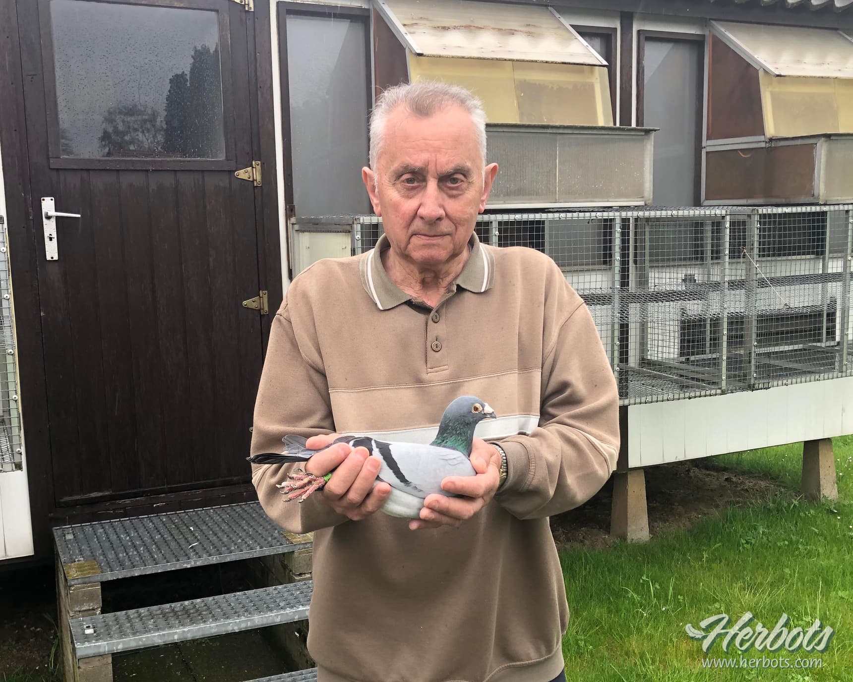 Rene Legros ( Verlaine ) Super class at very high level with mini colony