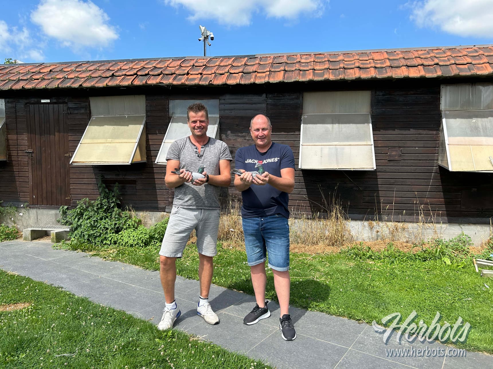 Demaret-Marichal d’Herquegies, 1er et 2ème As-Pigeon Grand Fond Vieux RFCB 2024