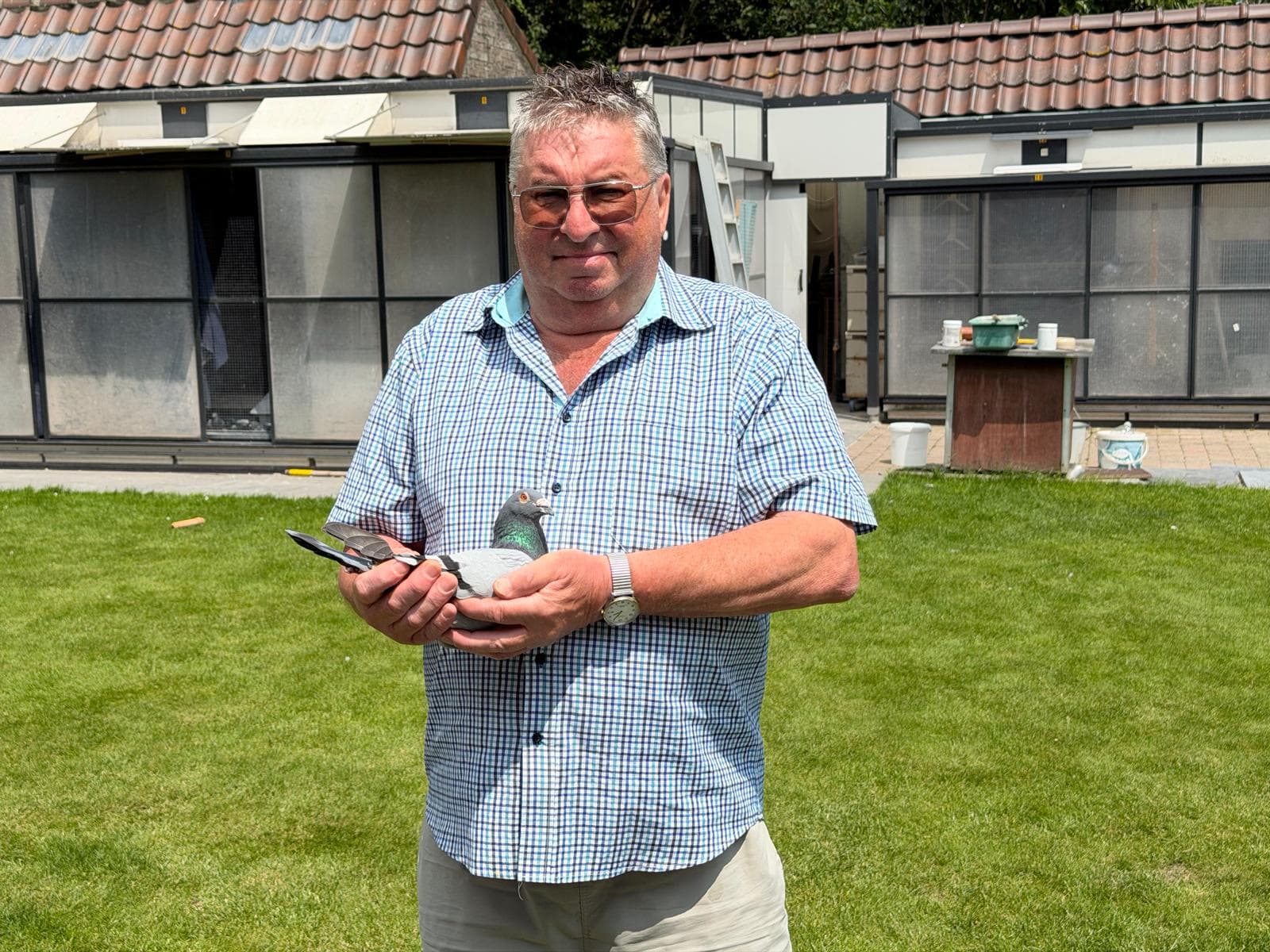 Geert Maroy (Zwevegem-Heestert) wins 1st Provincial Cahors against 708 old pigeons.