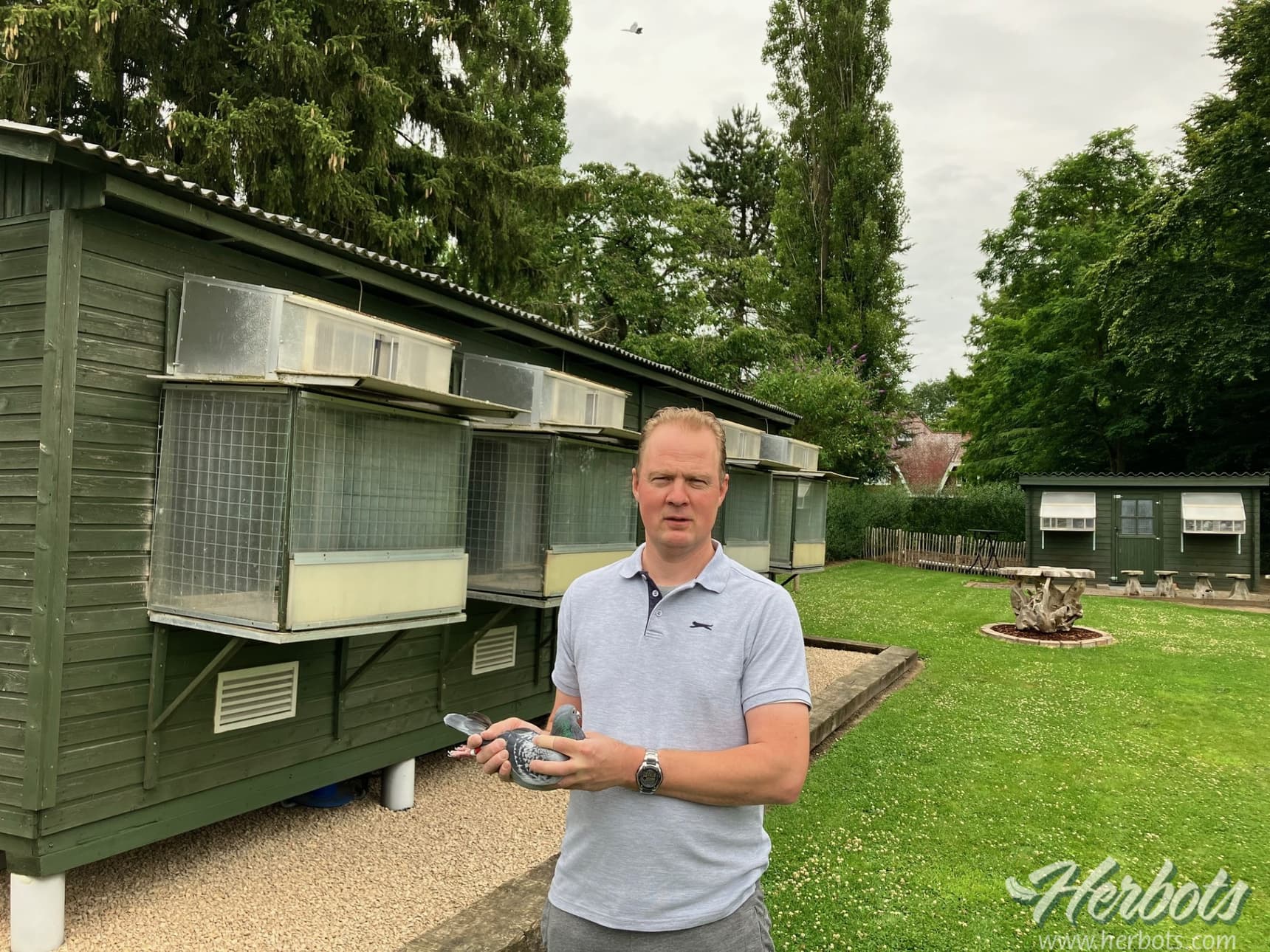 Ruben Moreels (Ronse) wins 1st Provincial Old Pigeons Limoges East Flanders