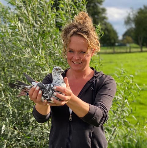 Noorderijk Esther finds a new job challenge at Family Eijerkamp and therefore puts a select group of pigeons up for sale