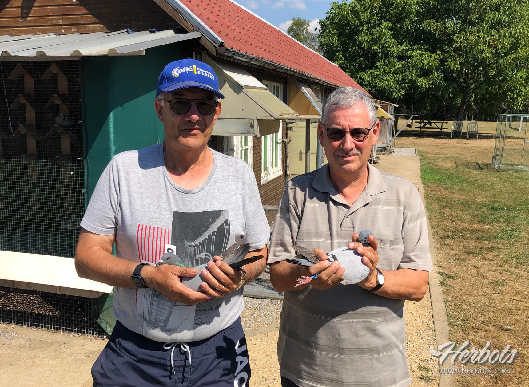 Schroyen – Stockmans (Heusden-Zolder) end their season with 1st Provincial Chateauroux 1,135 young pigeons