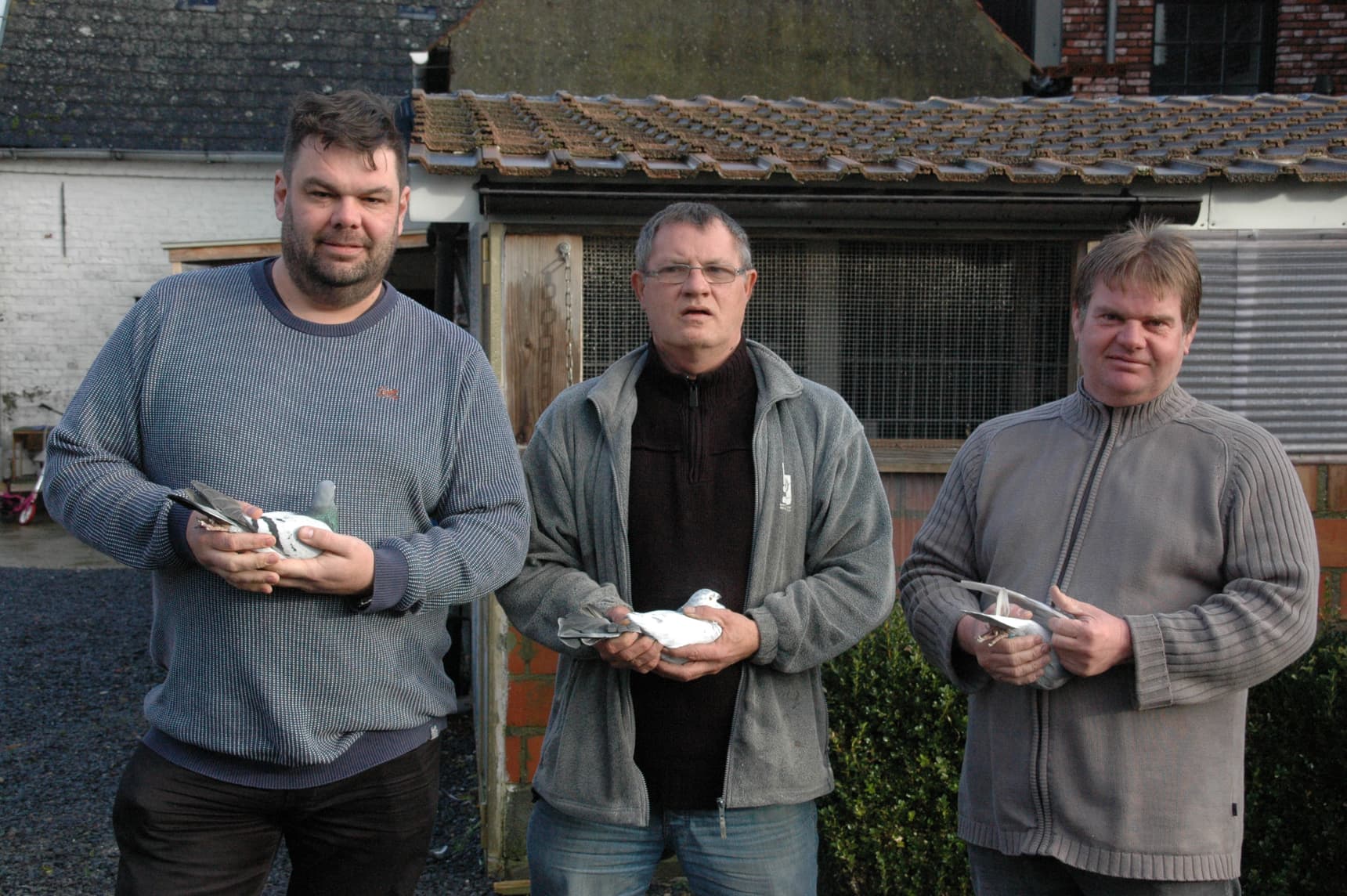 TEAM DE RIDDER 1st GENERAL CHAMPION KBDB 2019