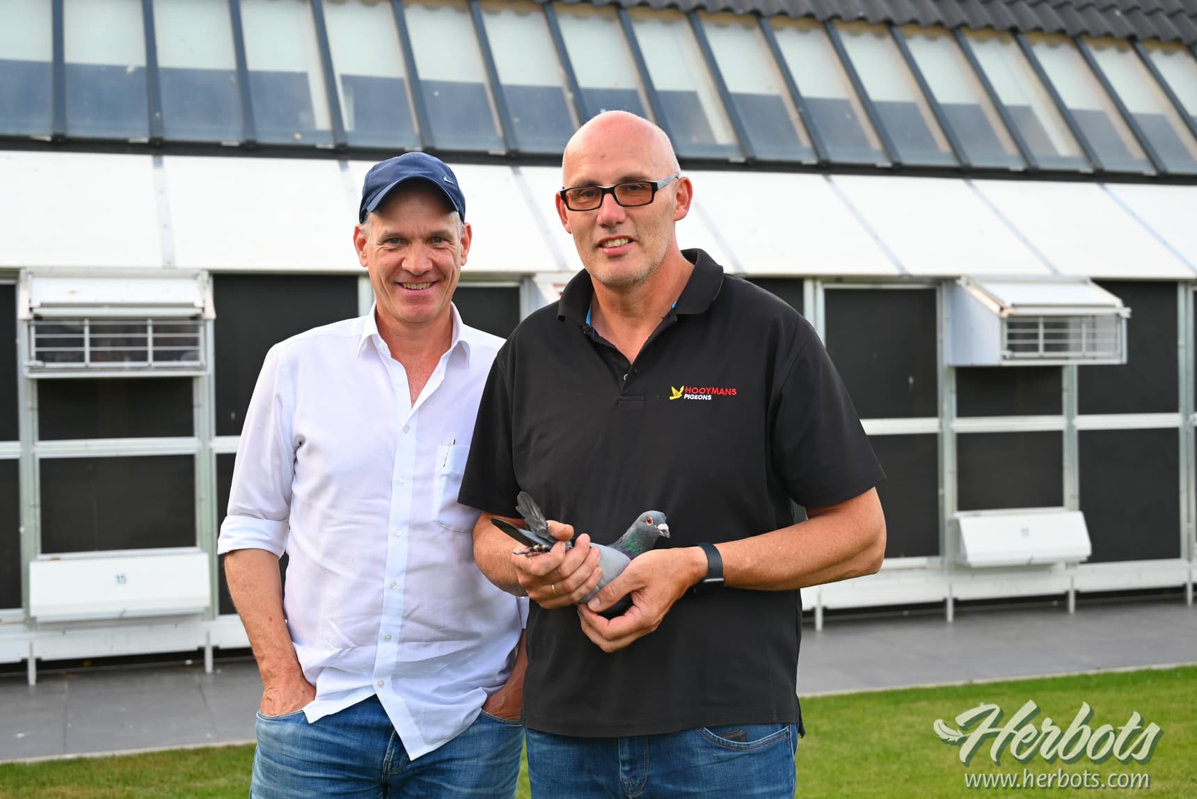 Team Hooymans WVL: 1st National Limoges 10,381 old birds