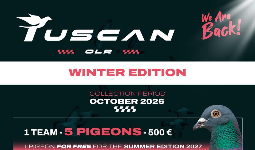 Toscan Sun Race