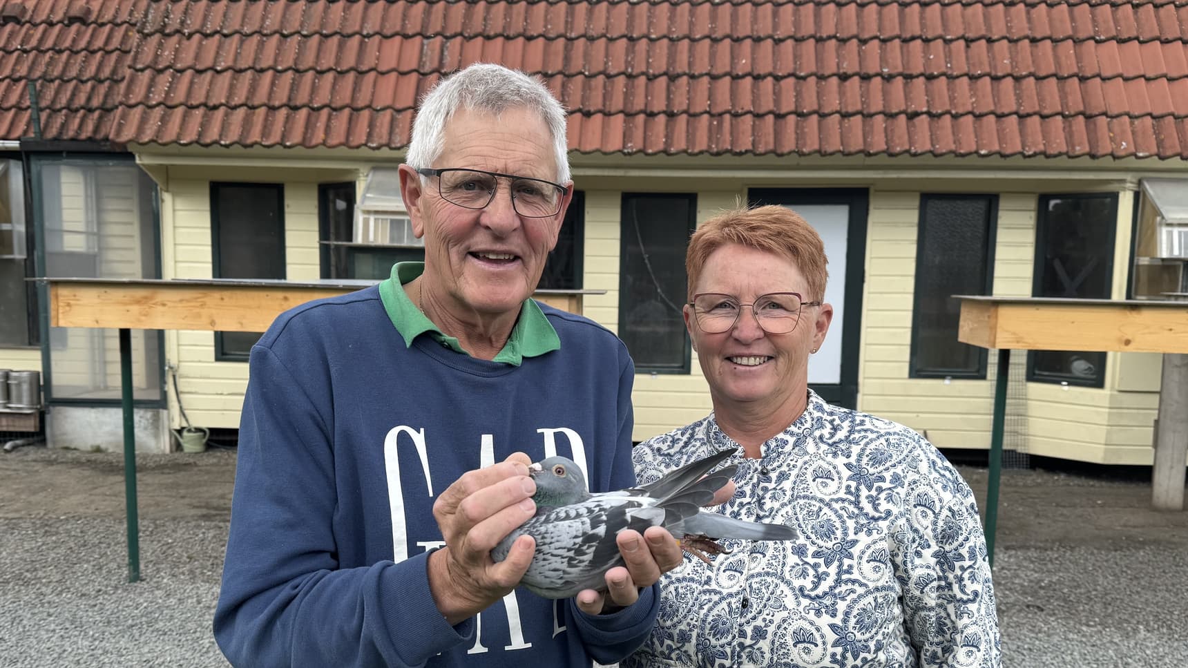 Van Elsacker – Jepsen (Schilde) 1 Champion National fond yearlings RFCB 2024