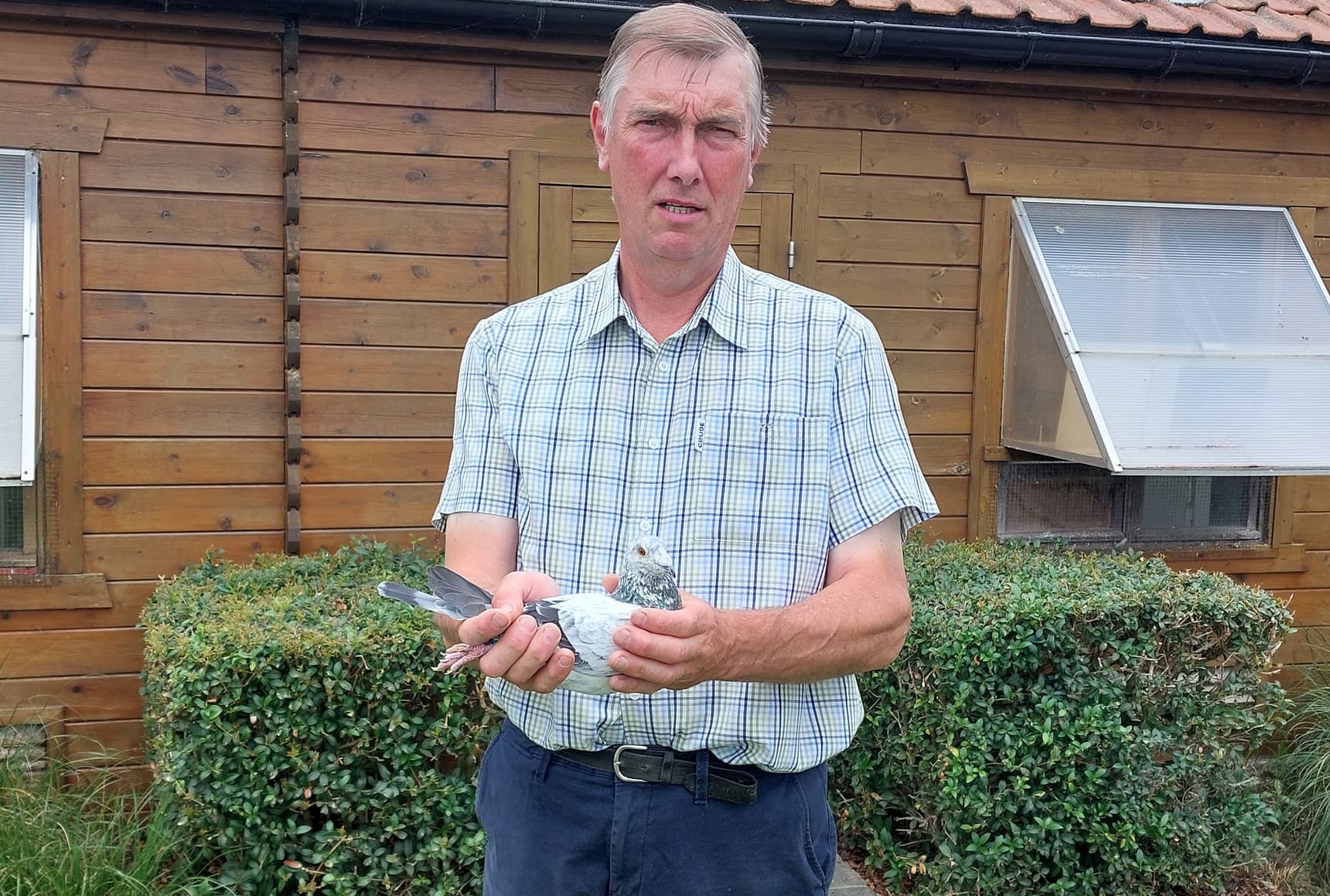 Van Schoorisse Geert (Nukerke) Achieves Beautiful Performances at Pau and Agen