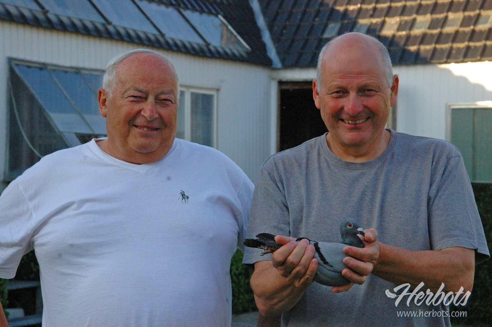 范希兄弟弗雷迪&傑克(Vandenheede Freddy & Jacques):利蒙治II全國一歲鴿組9756羽冠亞季軍!總20,075羽分速最快第一、第二、第三!