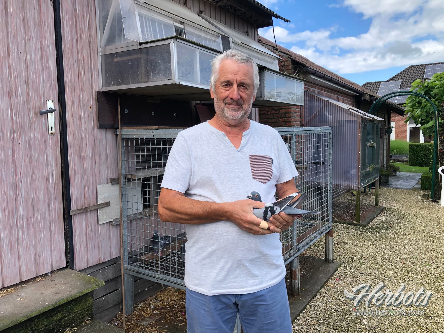 Paul Walraevens, Zottegem brille avec 3x 1ère zone nationale sur les courses nationales en 2021p de Nationale vluchten in 2021